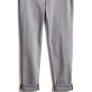 Lila Ryan Zuri Skinny Pant in Gray